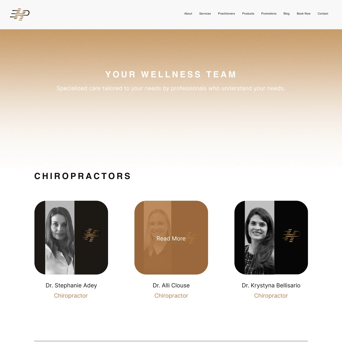 Practitioners page: the Your Wellness Team banner and the chiropractors