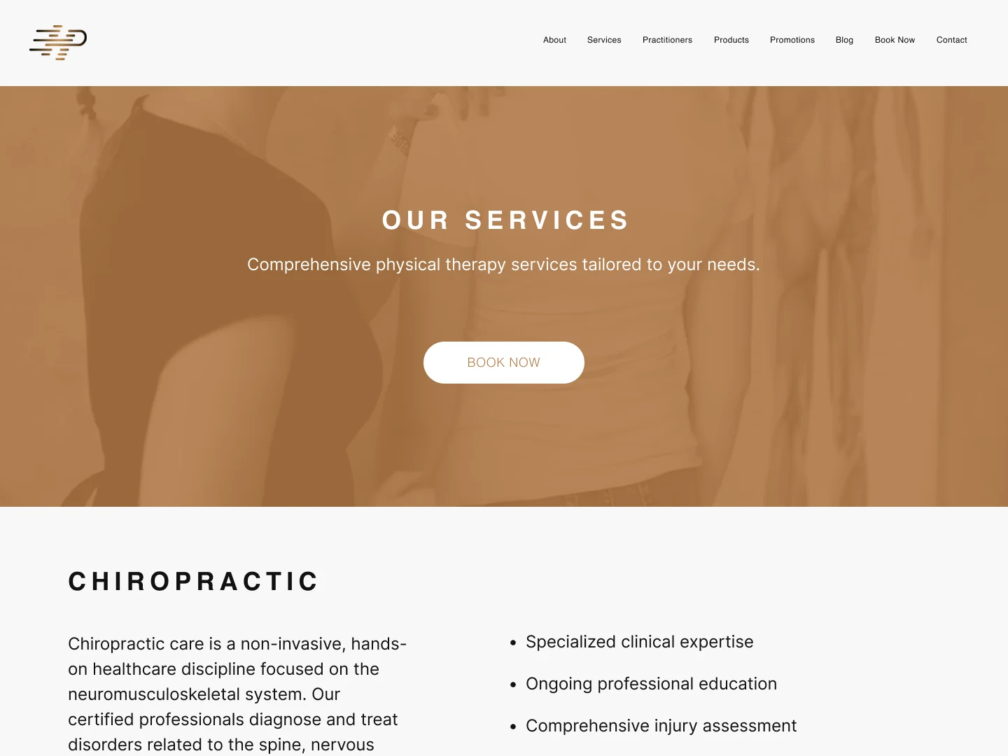 Services page: the Our Services banner and the Chiropractic section